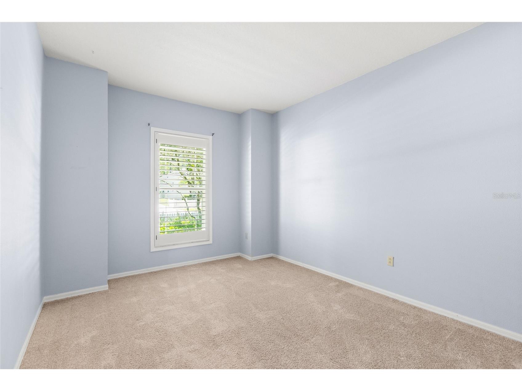 19218 Sea Mist Lane Lutz FL 33558 TB8518906 image28
