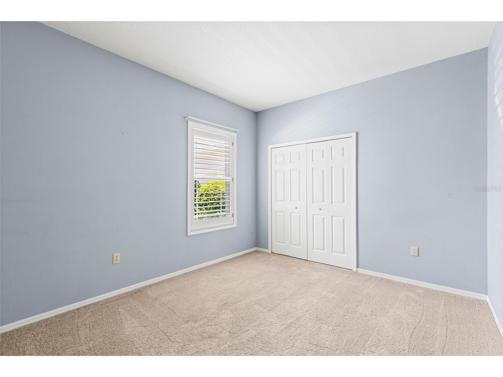 19218 Sea Mist Lane Lutz FL 33558 TB8518906 image31