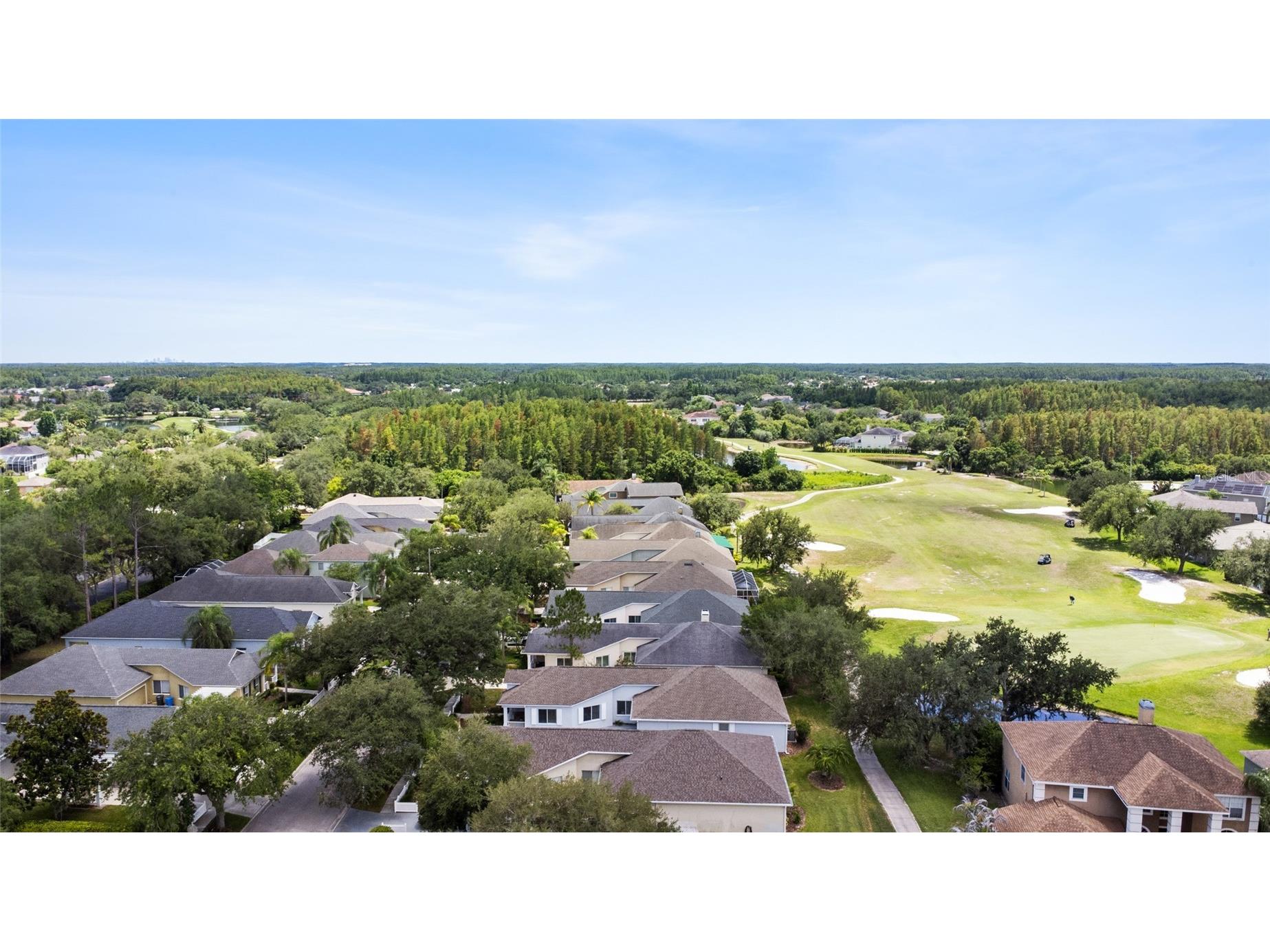 19218 Sea Mist Lane Lutz FL 33558 TB8518906 image55
