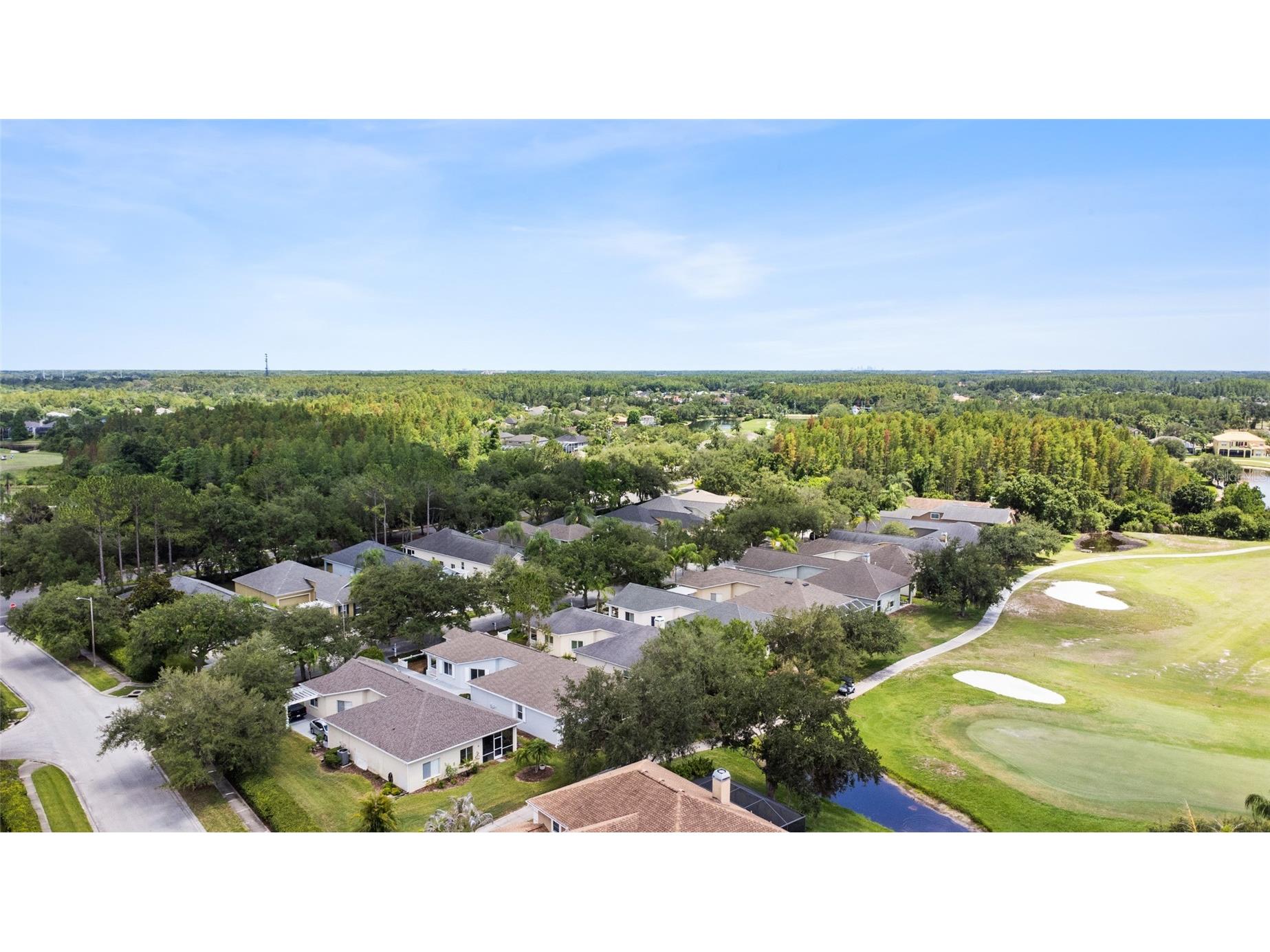 19218 Sea Mist Lane Lutz FL 33558 TB8518906 image57
