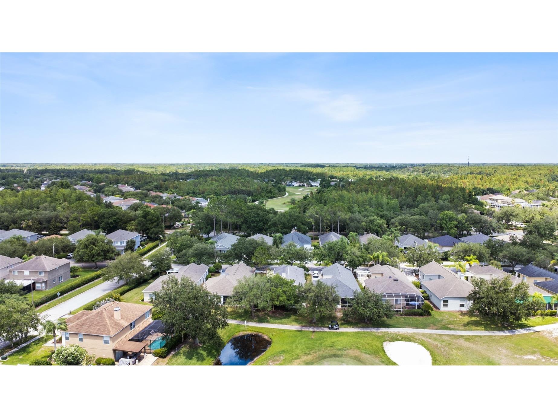 19218 Sea Mist Lane Lutz FL 33558 TB8518906 image59