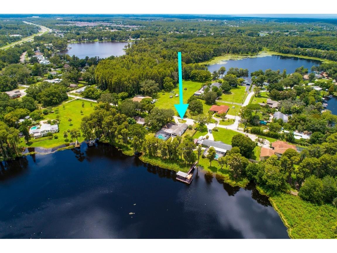 19219 Blount Road Lutz FL 33558 T3548612 image1