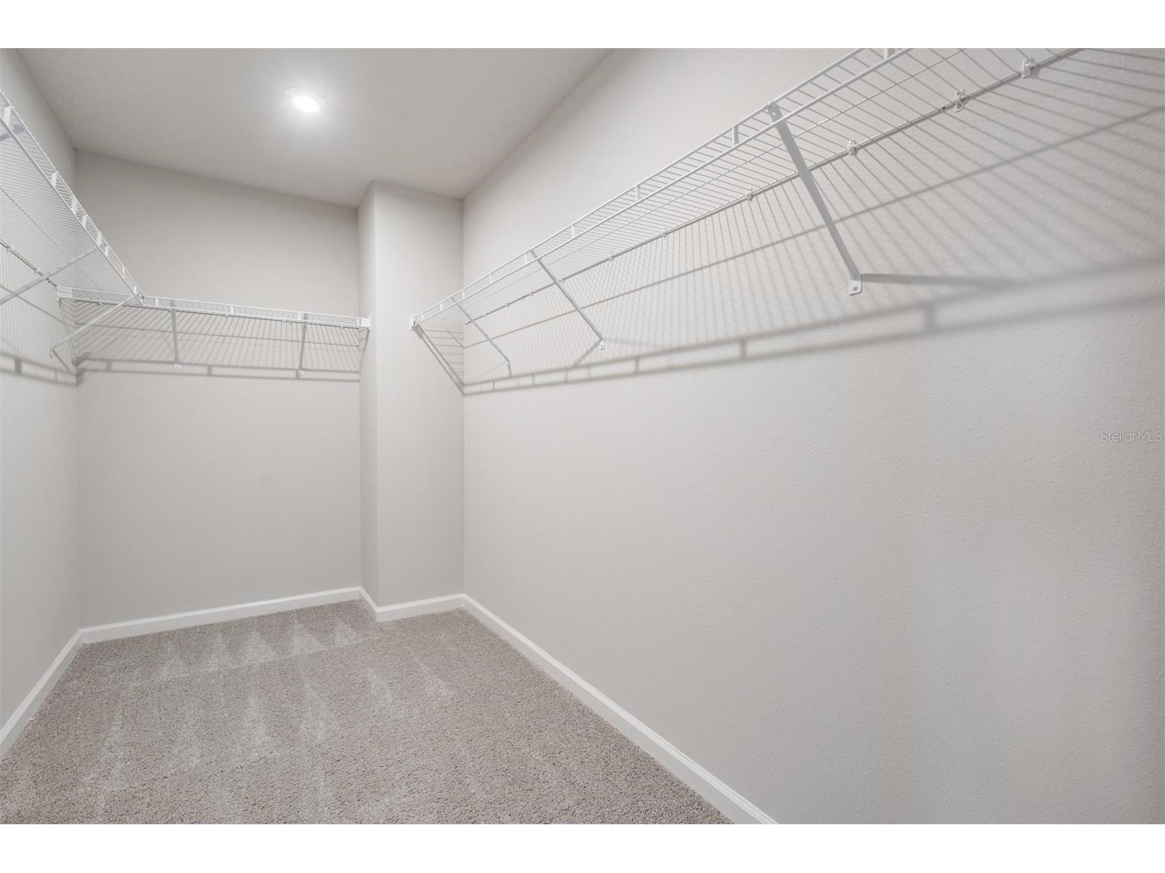 19219 Blue Pond Drive Lutz FL 33558 TB8495319 image22