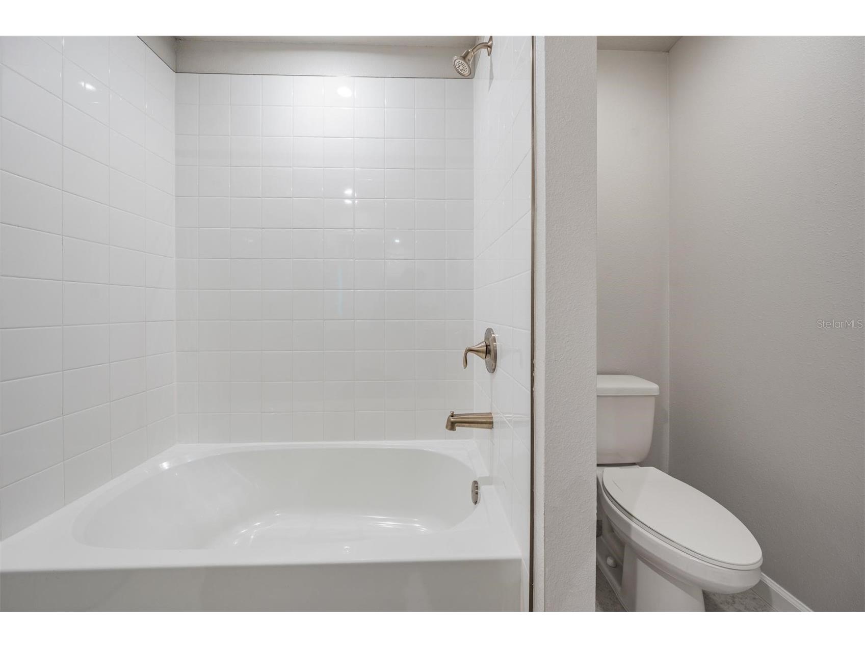 19219 Blue Pond Drive Lutz FL 33558 TB8495319 image29