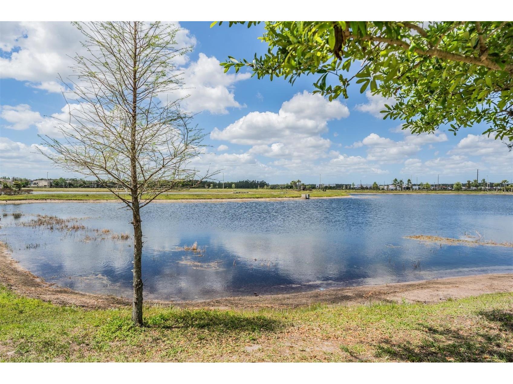 19219 Blue Pond Drive Lutz FL 33558 TB8495319 image3