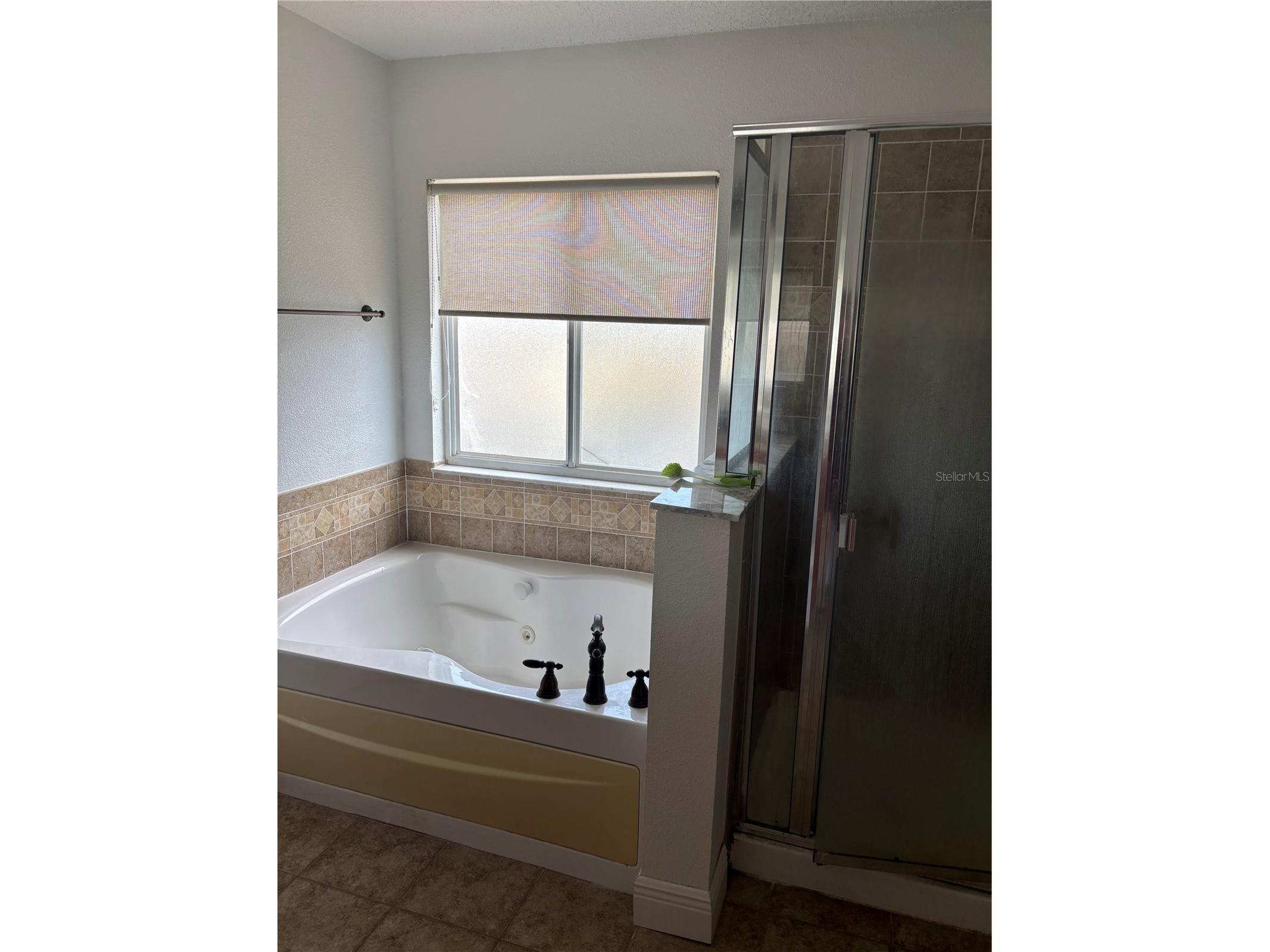 1922 Binnacle Street Kissimmee FL 34744 S5149035 image11