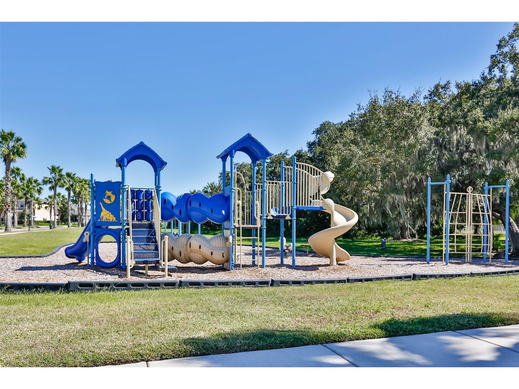 1922 Citrus Lake Court Ruskin FL 33570 TB8511016 image67