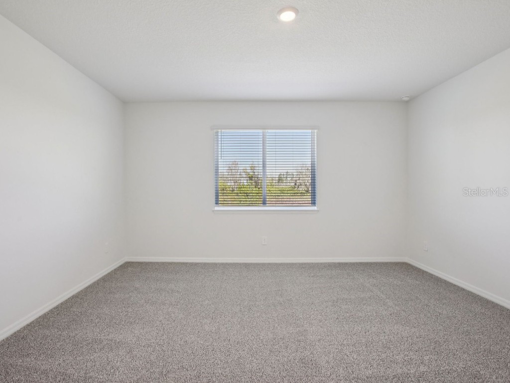 1922 Coolridge Place Zephyrhills FL 33541 O6342332 image28