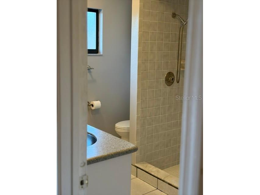 1922 Dockside Drive Valrico FL 33594 TB8517167 image12