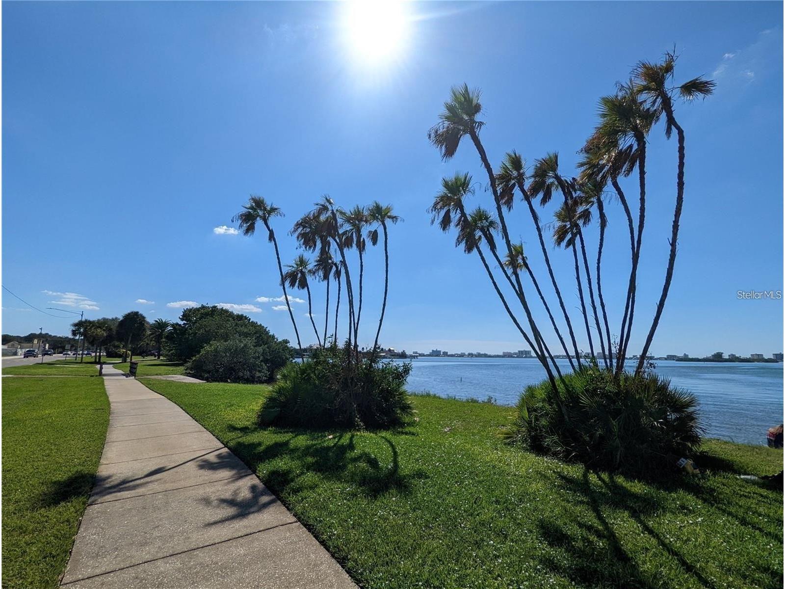 1922 Springtime Avenue Clearwater FL 33755 TB8465580 image21