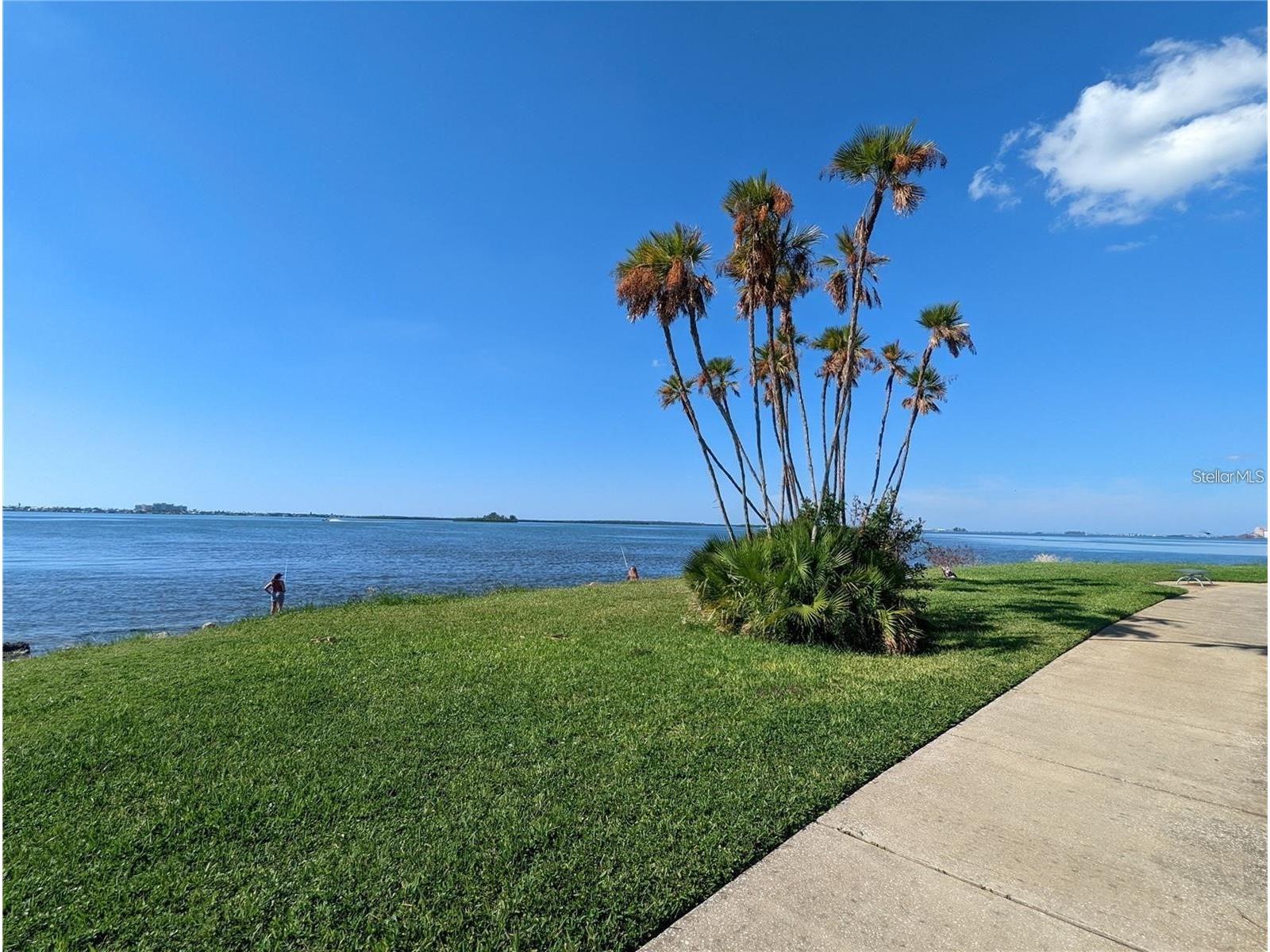 1922 Springtime Avenue Clearwater FL 33755 TB8465580 image22
