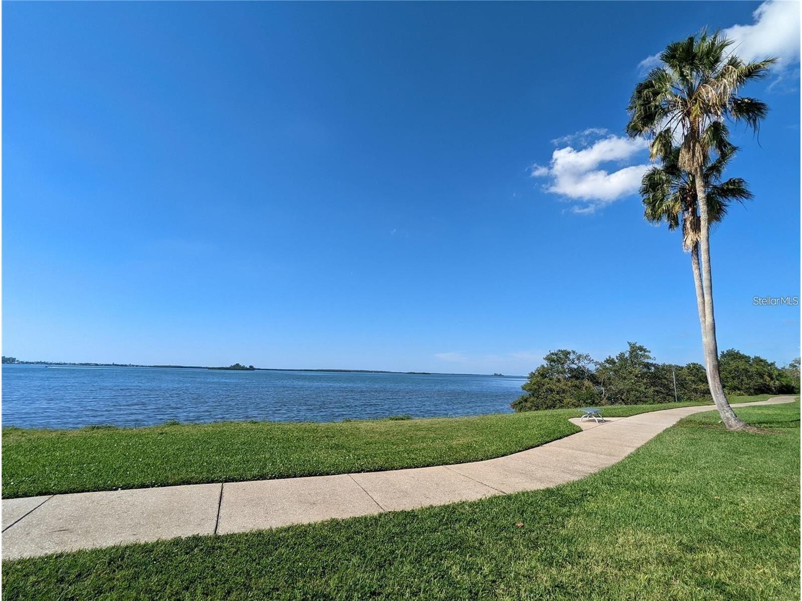 1922 Springtime Avenue Clearwater FL 33755 TB8465580 image24
