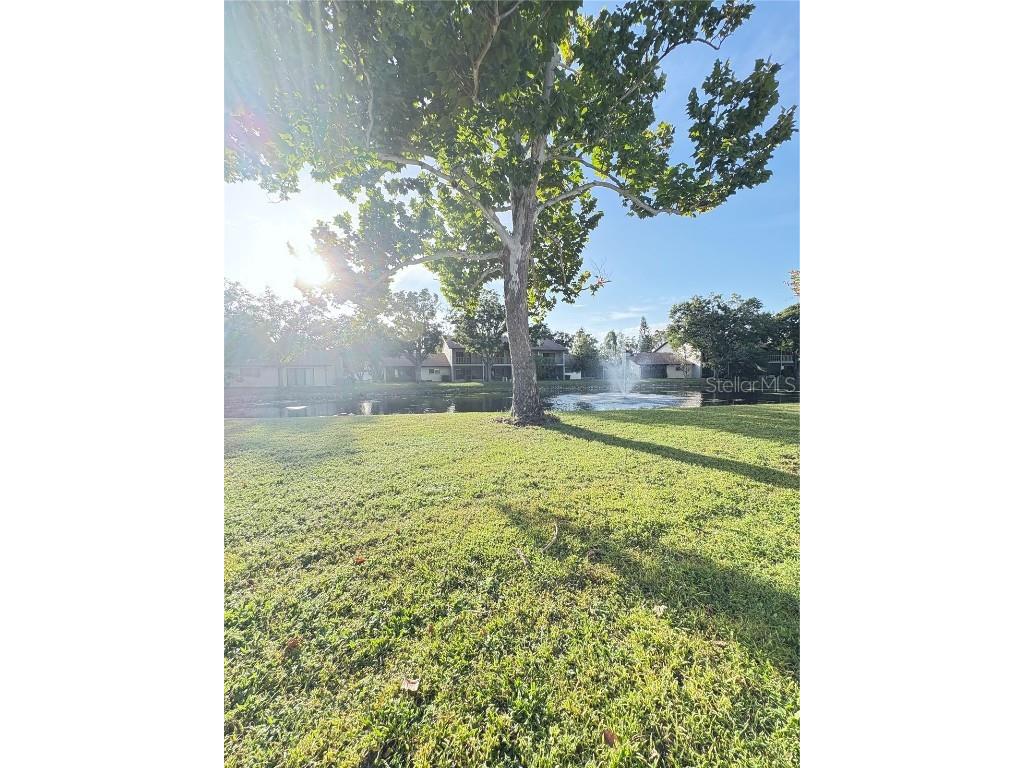 1922 Whitney Way Clearwater FL 33760 TB8434593 image27