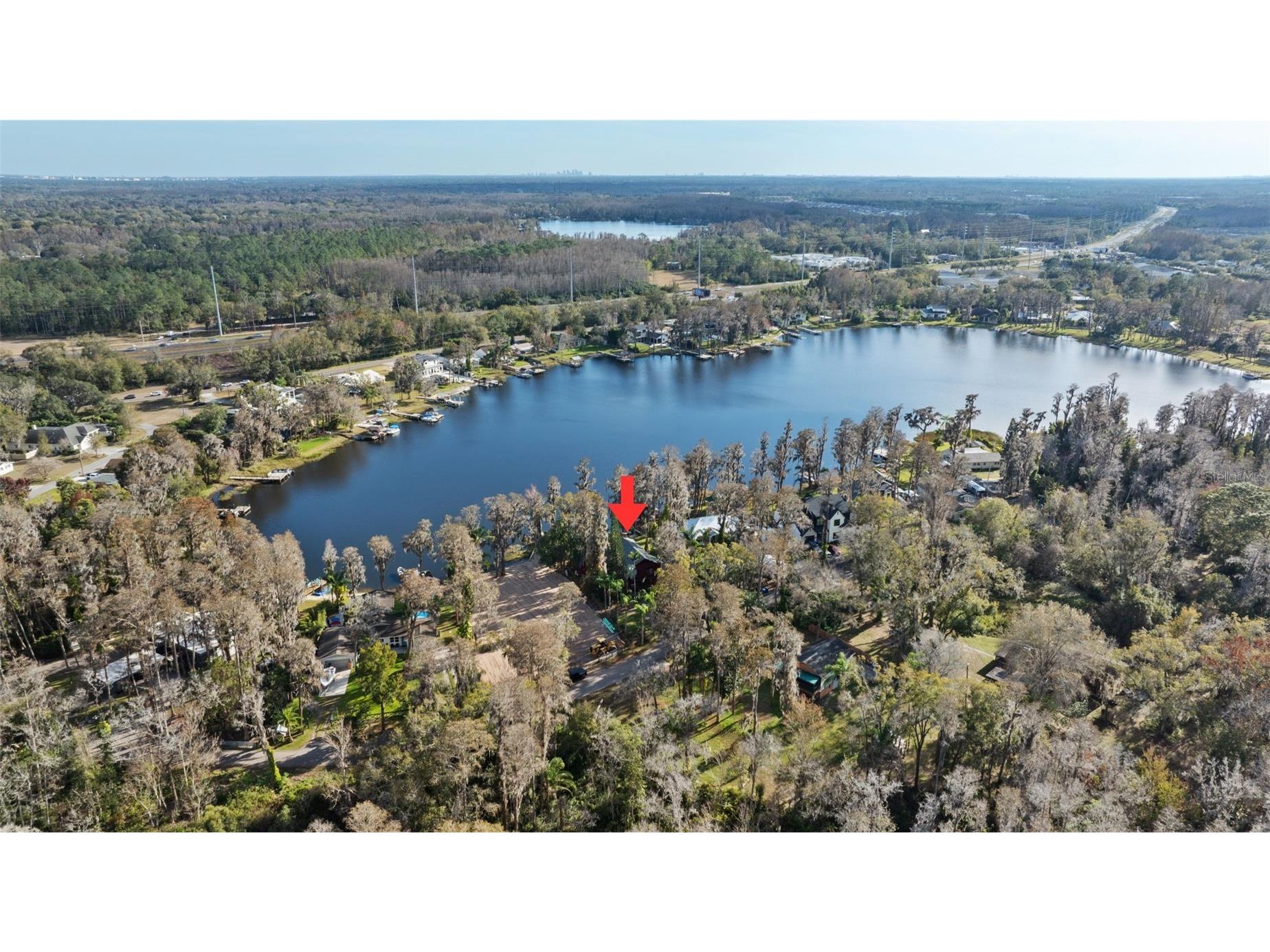 19220 Lake Allen Road Lutz FL 33558 TB8472062 image61