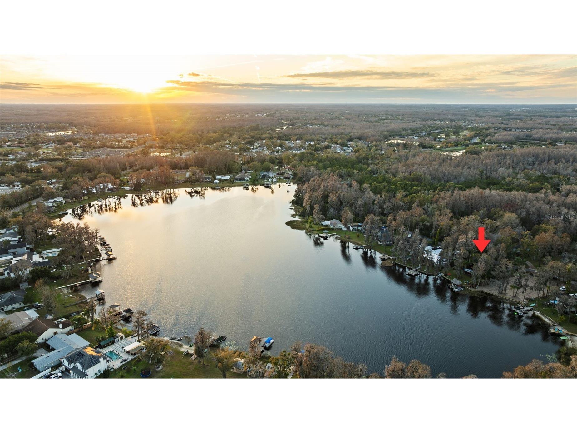 19220 Lake Allen Road Lutz FL 33558 TB8472062 image7