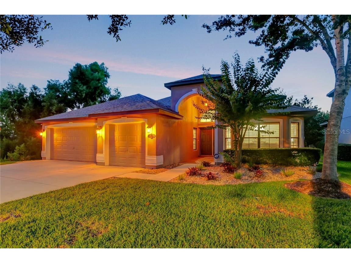 19220 Pepper Grass Drive Tampa FL 33647 T3452986 image1