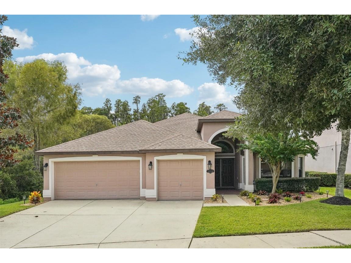 19220 Pepper Grass Drive Tampa FL 33647 TB8300609 image1