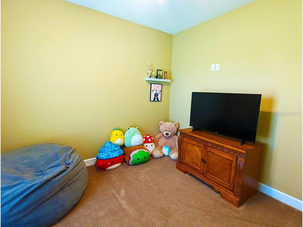 19221 Baker Road Umatilla FL 32784 - LAKE MINNEOLA G5114788 image34