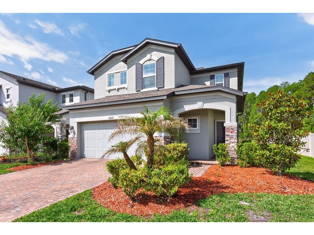 19222 Old Spanish Road Tampa FL 33647 TB8506728 image2
