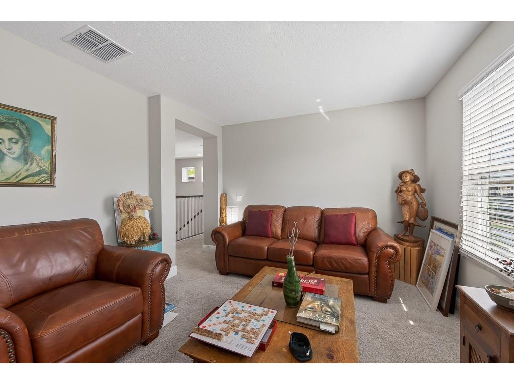 19222 Old Spanish Road Tampa FL 33647 TB8506728 image20