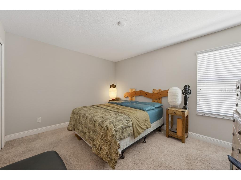 19222 Old Spanish Road Tampa FL 33647 TB8506728 image27