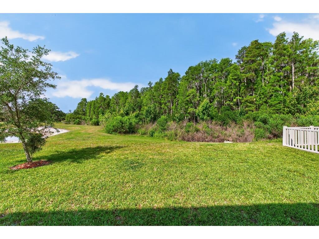 19222 Old Spanish Road Tampa FL 33647 TB8506728 image31