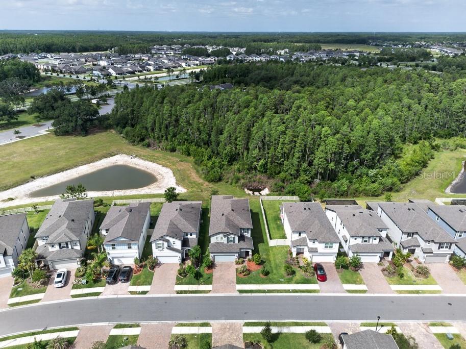 19222 Old Spanish Road Tampa FL 33647 TB8506728 image39