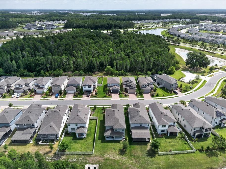 19222 Old Spanish Road Tampa FL 33647 TB8506728 image41