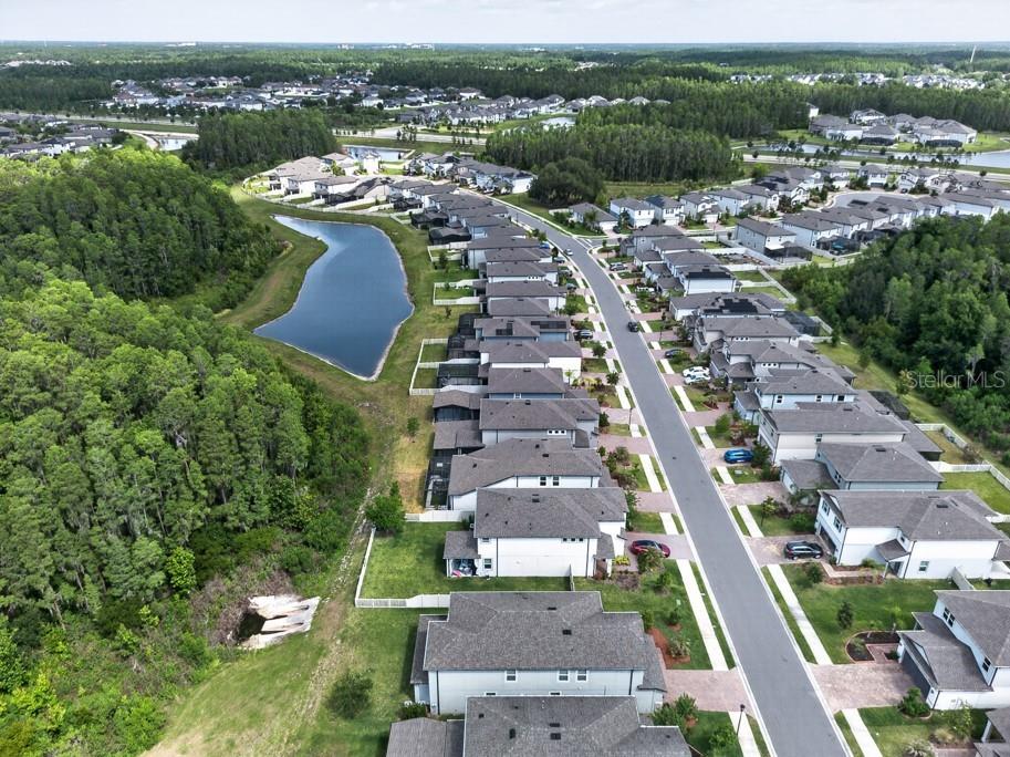 19222 Old Spanish Road Tampa FL 33647 TB8506728 image42