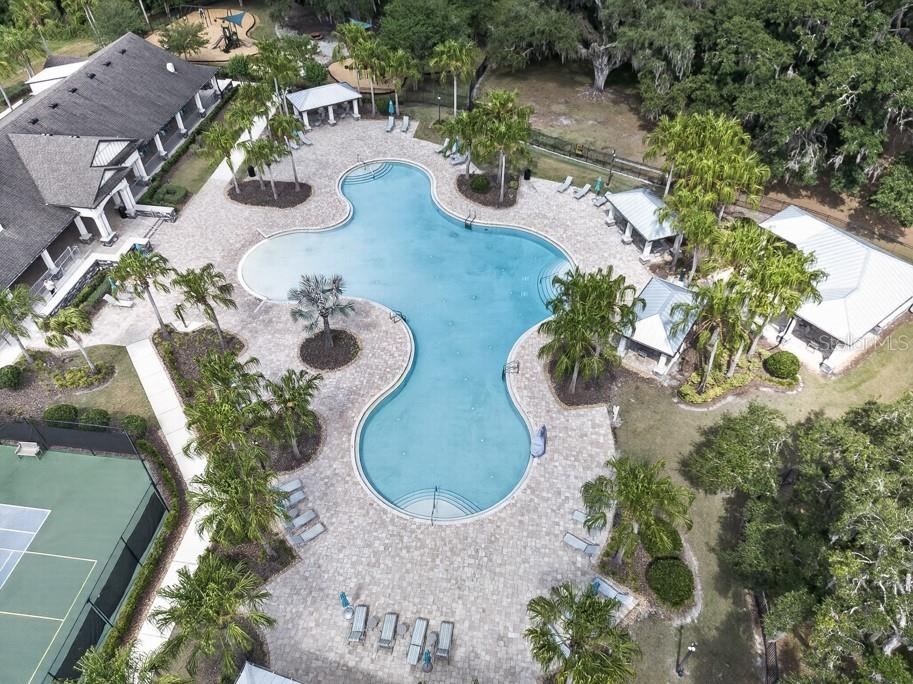 19222 Old Spanish Road Tampa FL 33647 TB8506728 image47