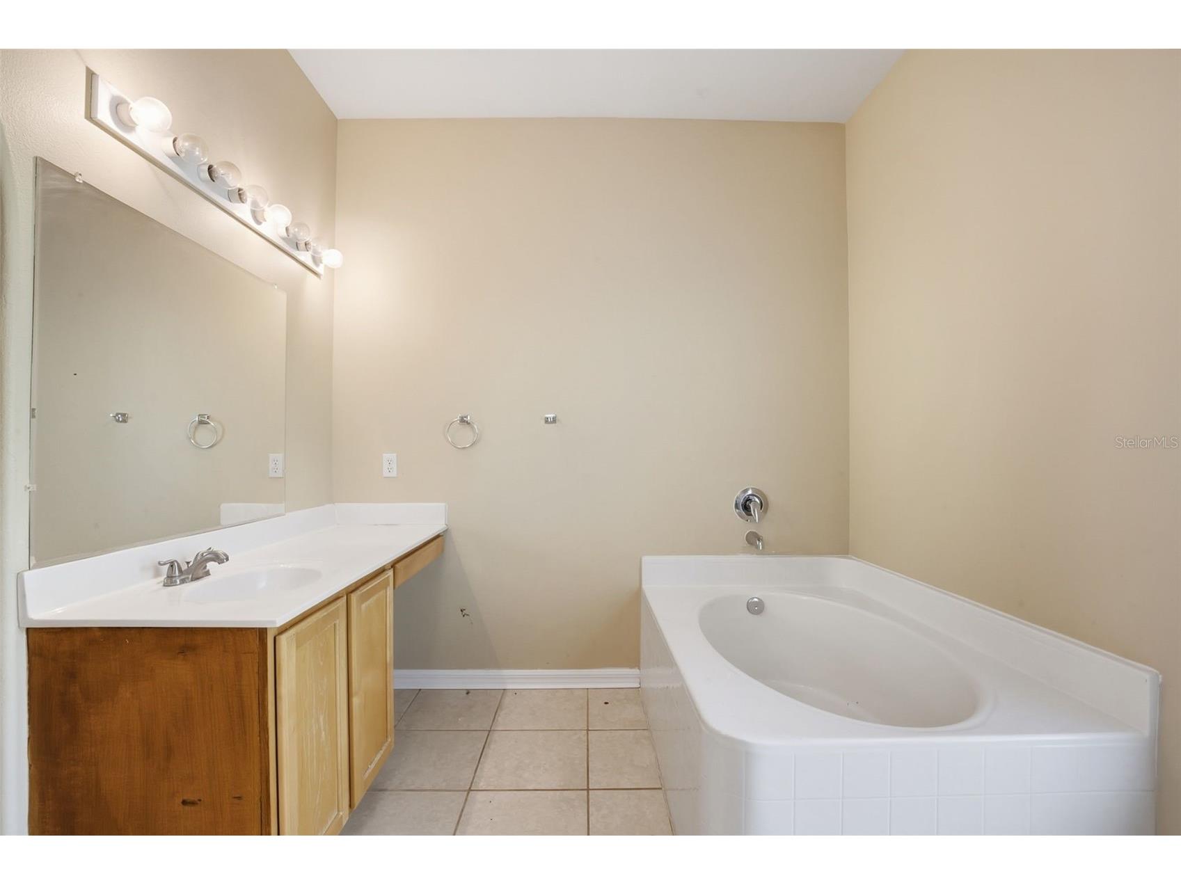 19222 Wood Sage Drive Tampa FL 33647 O6397675 image15