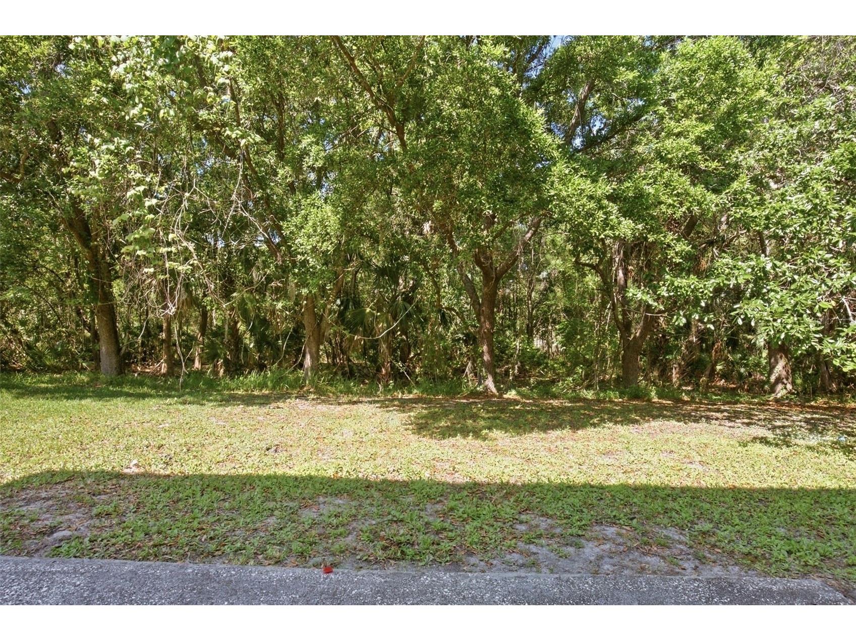 19222 Wood Sage Drive Tampa FL 33647 O6397675 image19