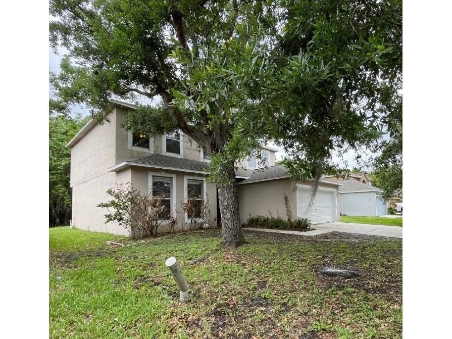19222 Wood Sage Drive Tampa FL 33647 O6397675 image2