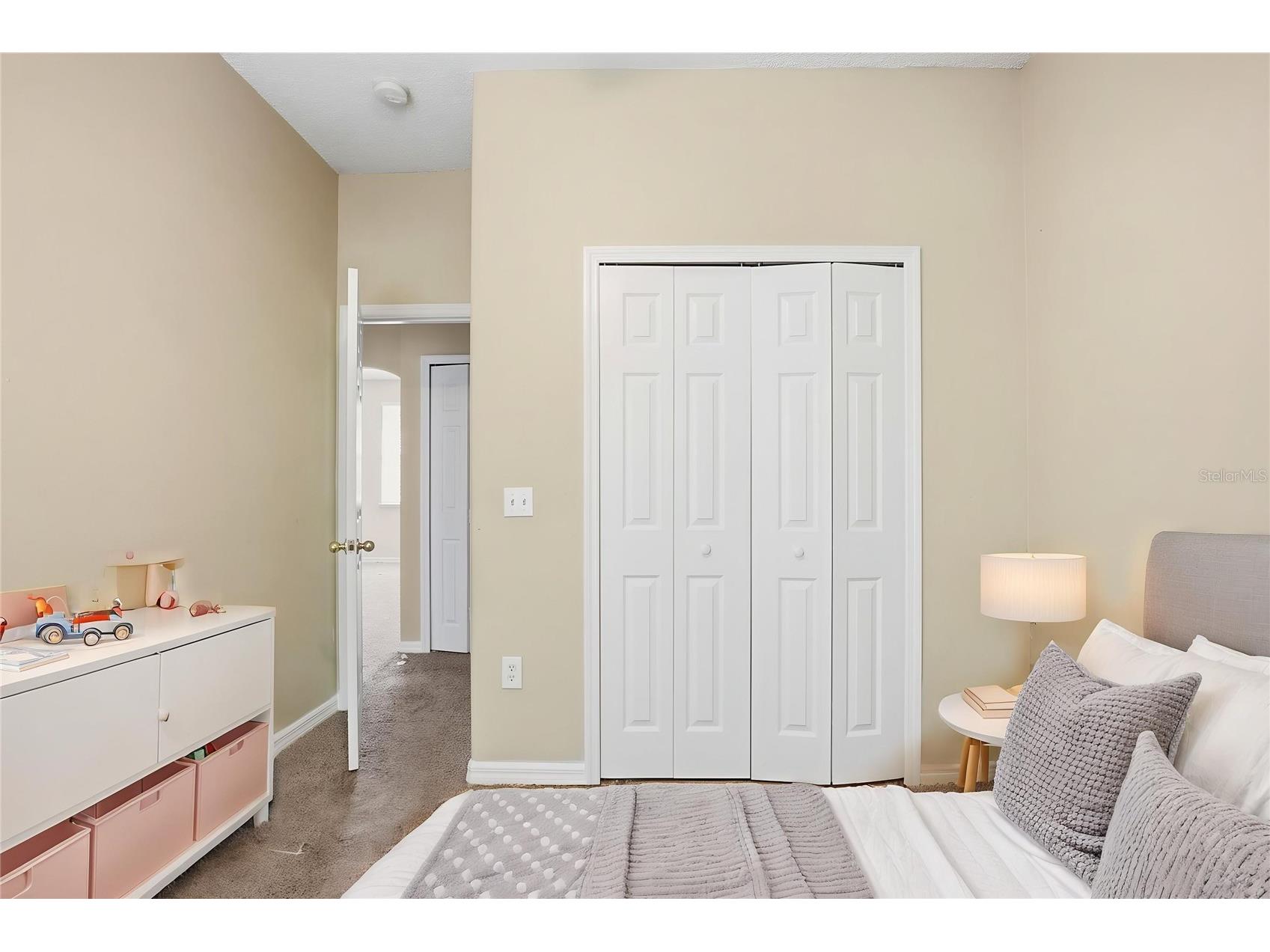19222 Wood Sage Drive Tampa FL 33647 O6397675 image6