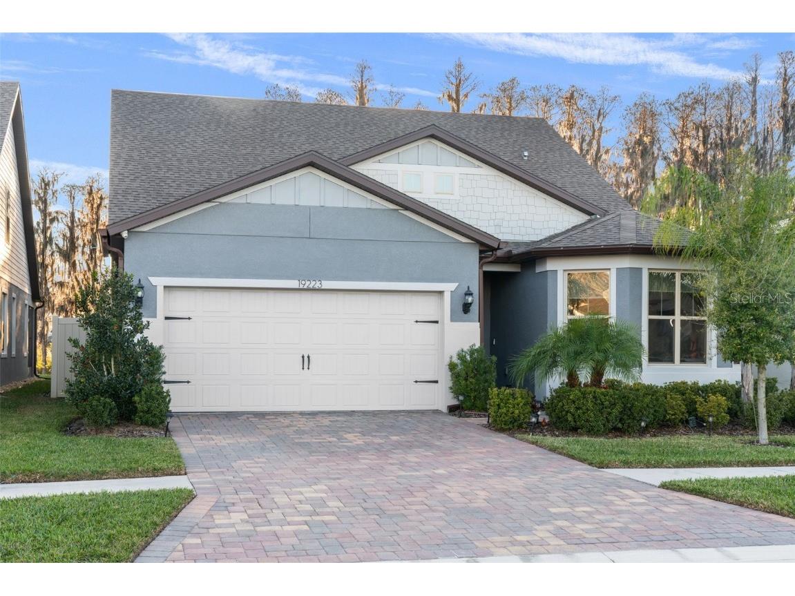 19223 Mossy Pine Drive Tampa FL 33647 T3500494 image1