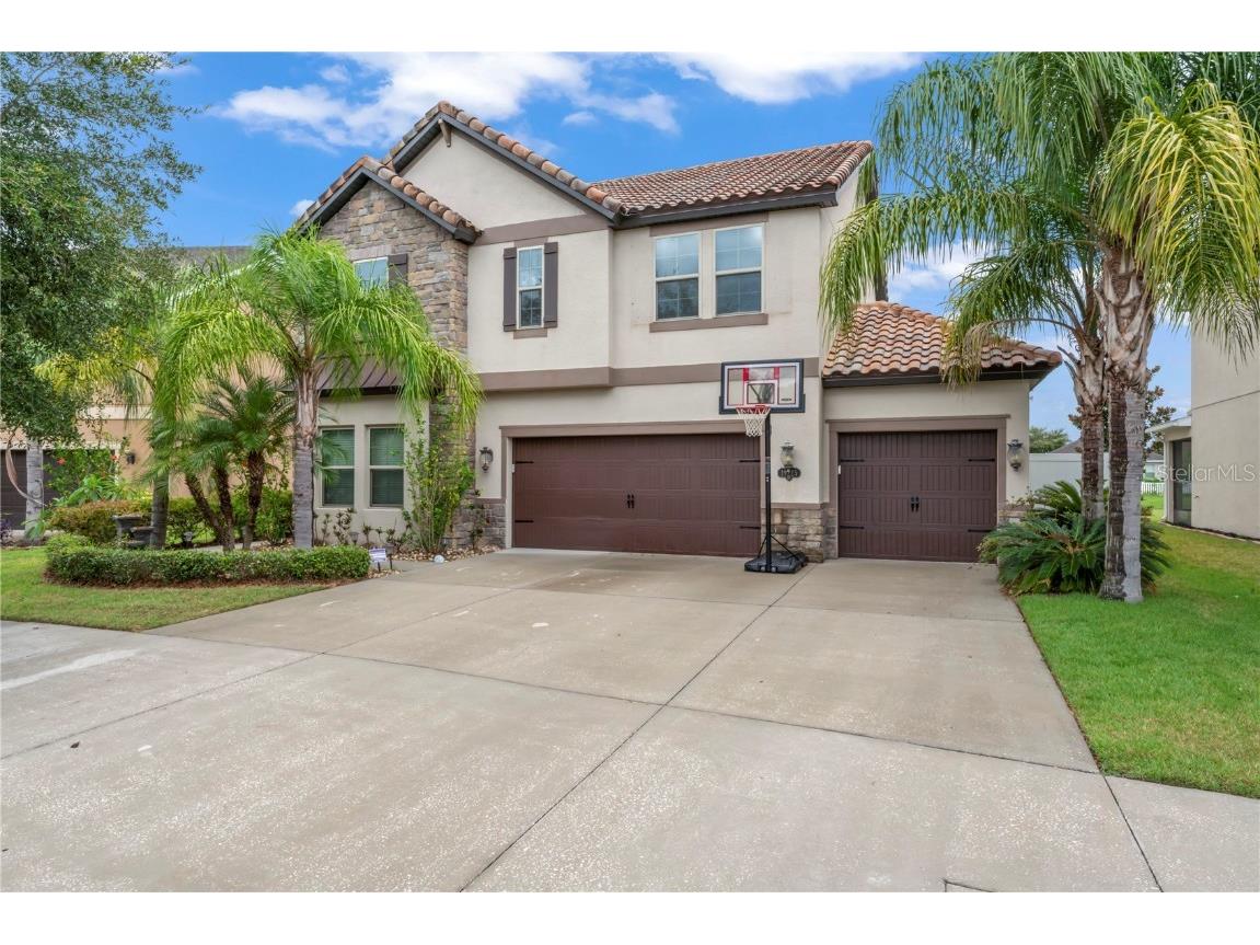 19225 Pepper Grass Drive Tampa FL 33647 T3456436 image1