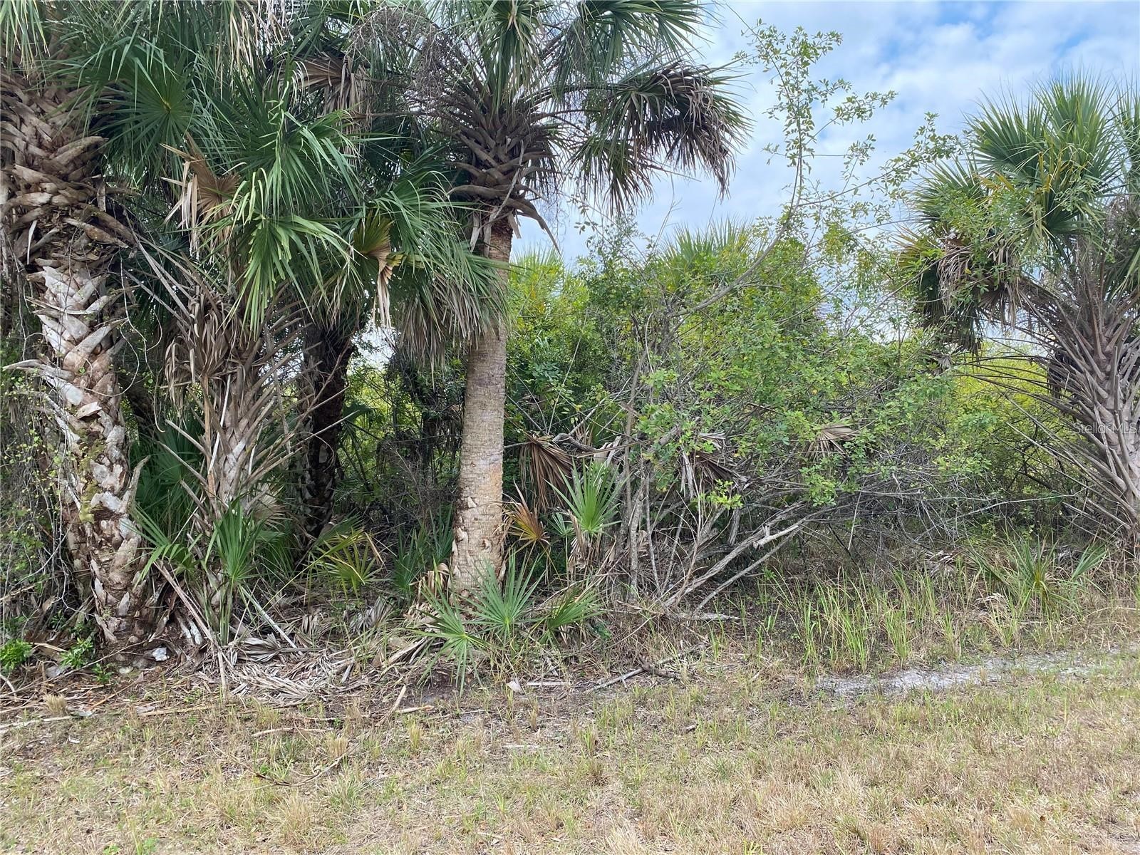 19225 Sherbrooke Avenue Port Charlotte FL 33954 A4683402 image2