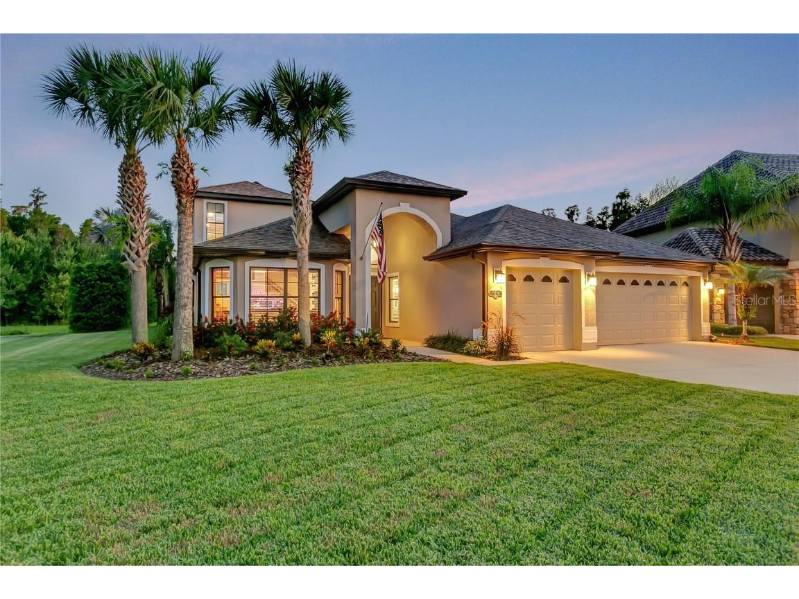 19228 Pepper Grass Drive Tampa FL 33647 T3455470 image1