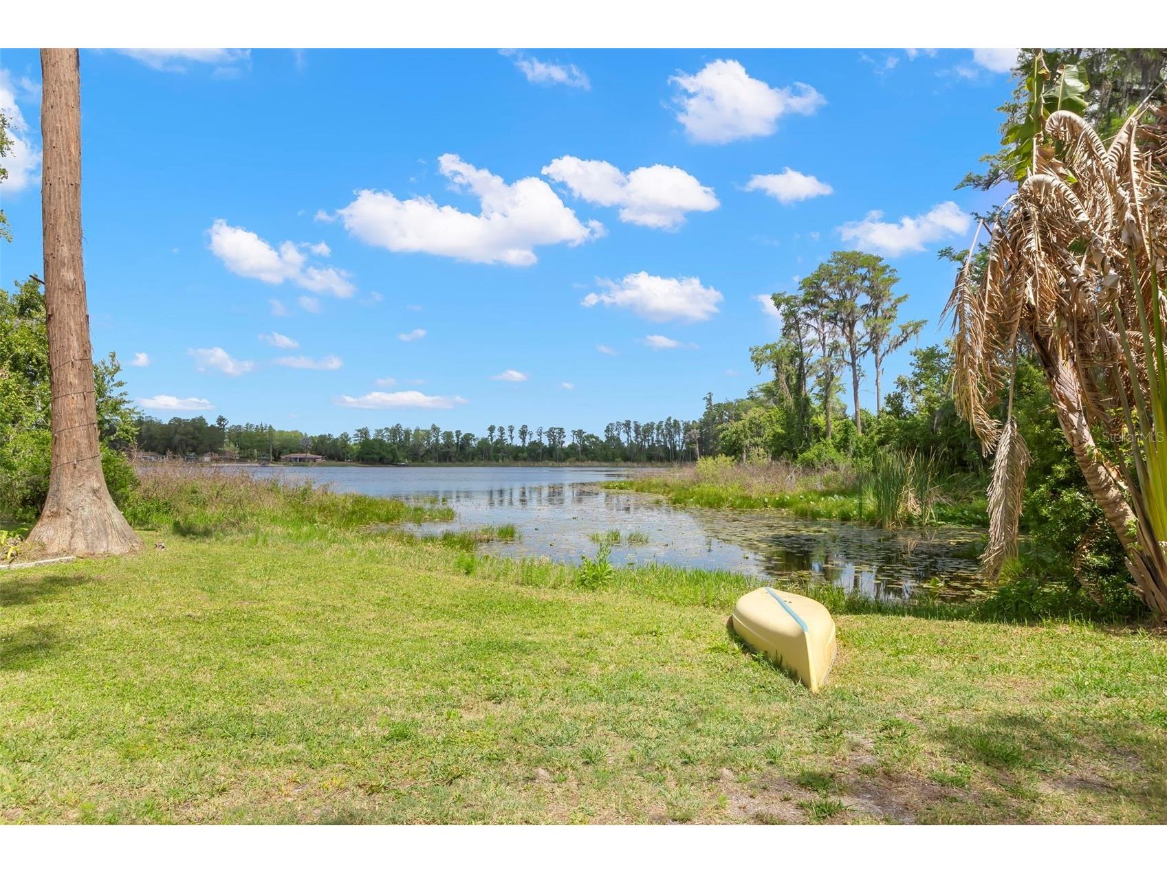 19229 Blount Road Lutz FL 33558 - LAKE HARVEY & LAKE JOY TB8500208 image1