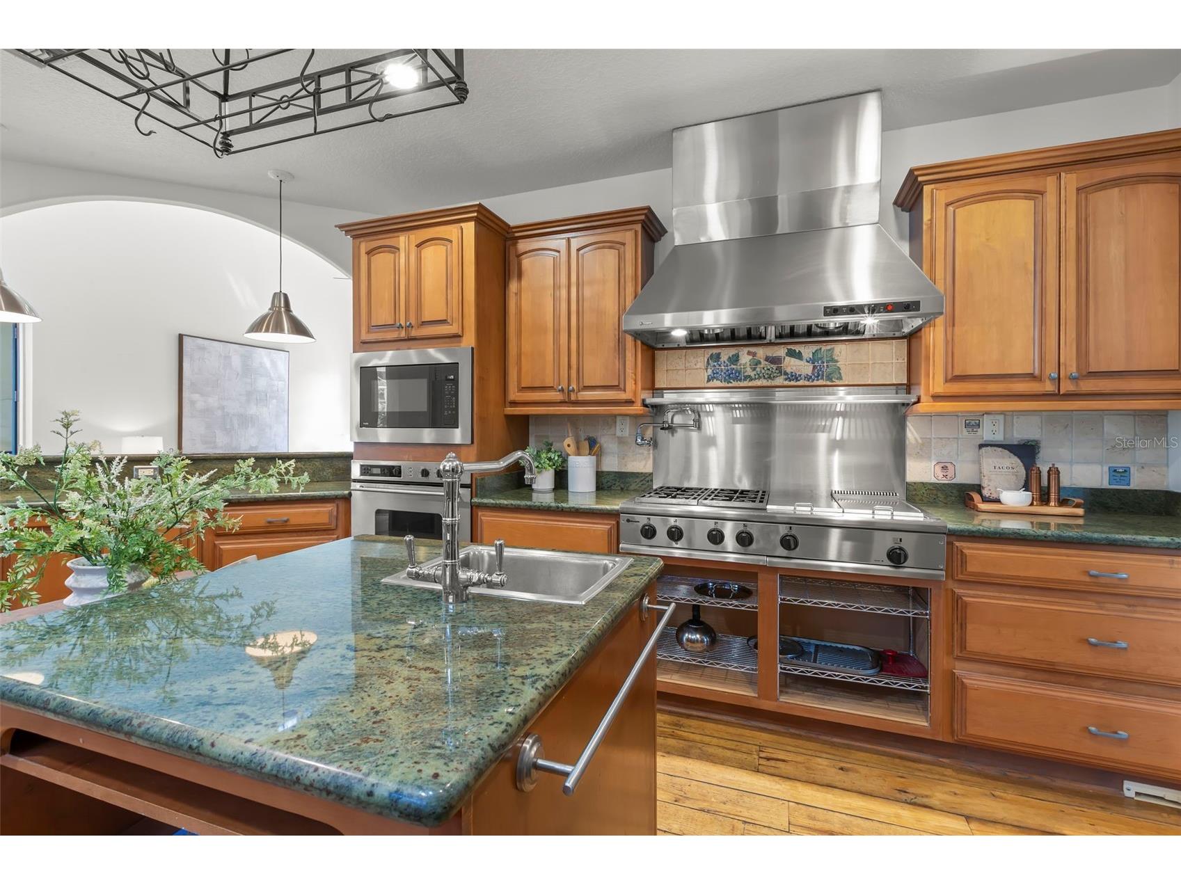 19229 Blount Road Lutz FL 33558 - LAKE HARVEY & LAKE JOY TB8500208 image25