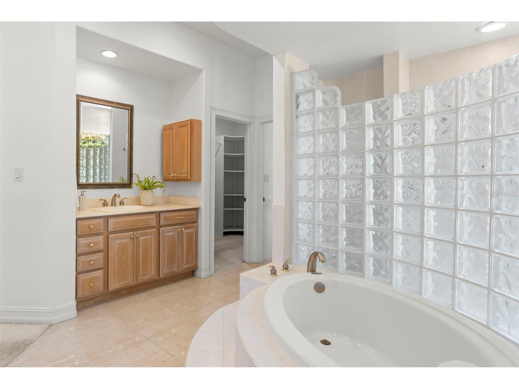 19229 Blount Road Lutz FL 33558 - LAKE HARVEY & LAKE JOY TB8500208 image34