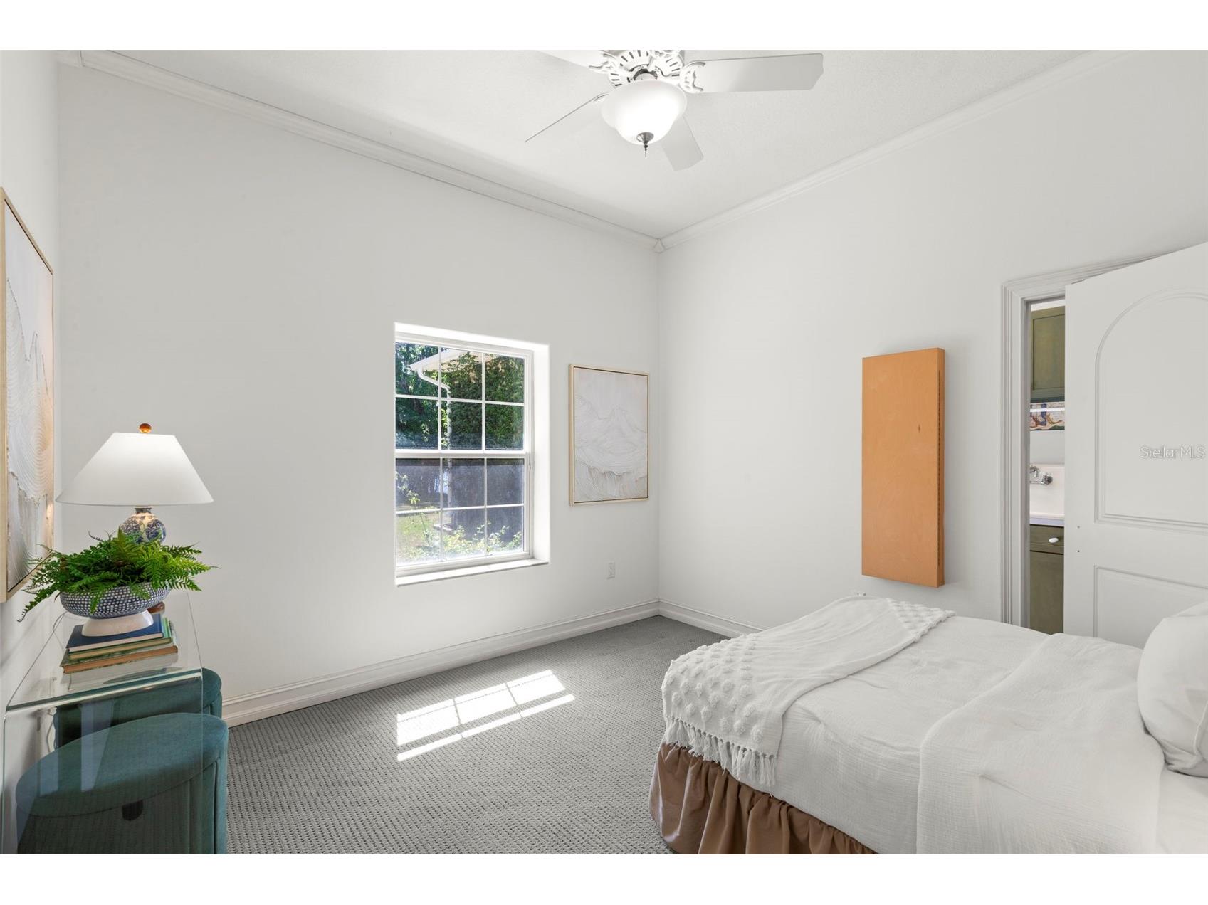 19229 Blount Road Lutz FL 33558 - LAKE HARVEY & LAKE JOY TB8500208 image38