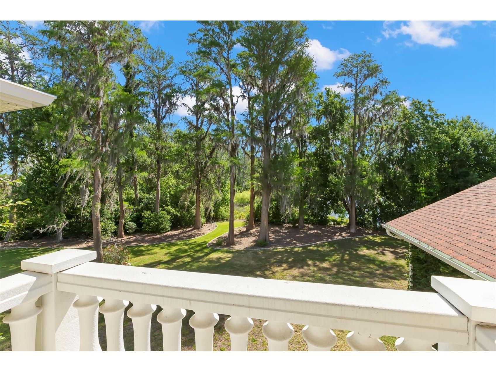 19229 Blount Road Lutz FL 33558 - LAKE HARVEY & LAKE JOY TB8500208 image45