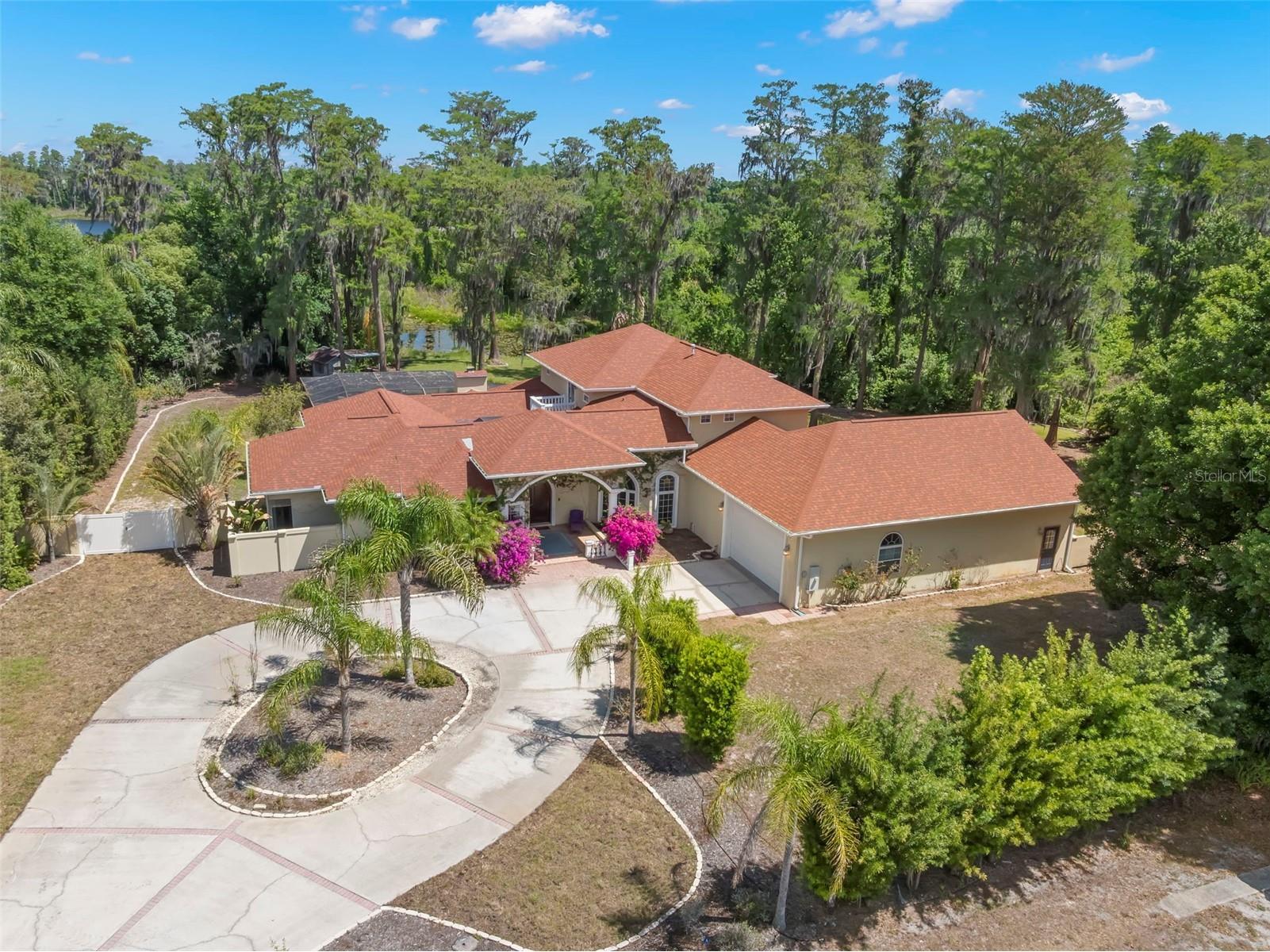 19229 Blount Road Lutz FL 33558 - LAKE HARVEY & LAKE JOY TB8500208 image5