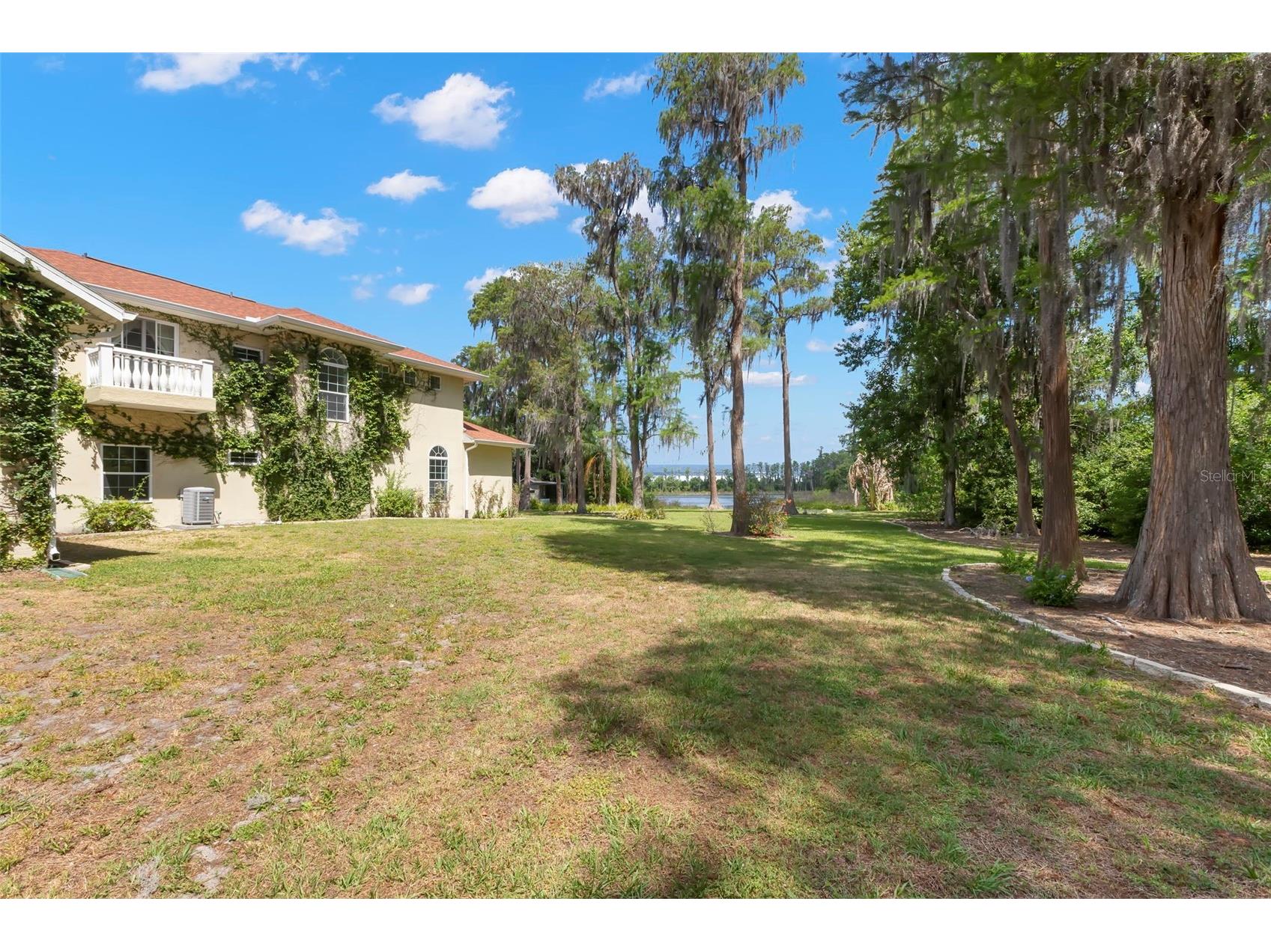 19229 Blount Road Lutz FL 33558 - LAKE HARVEY & LAKE JOY TB8500208 image52