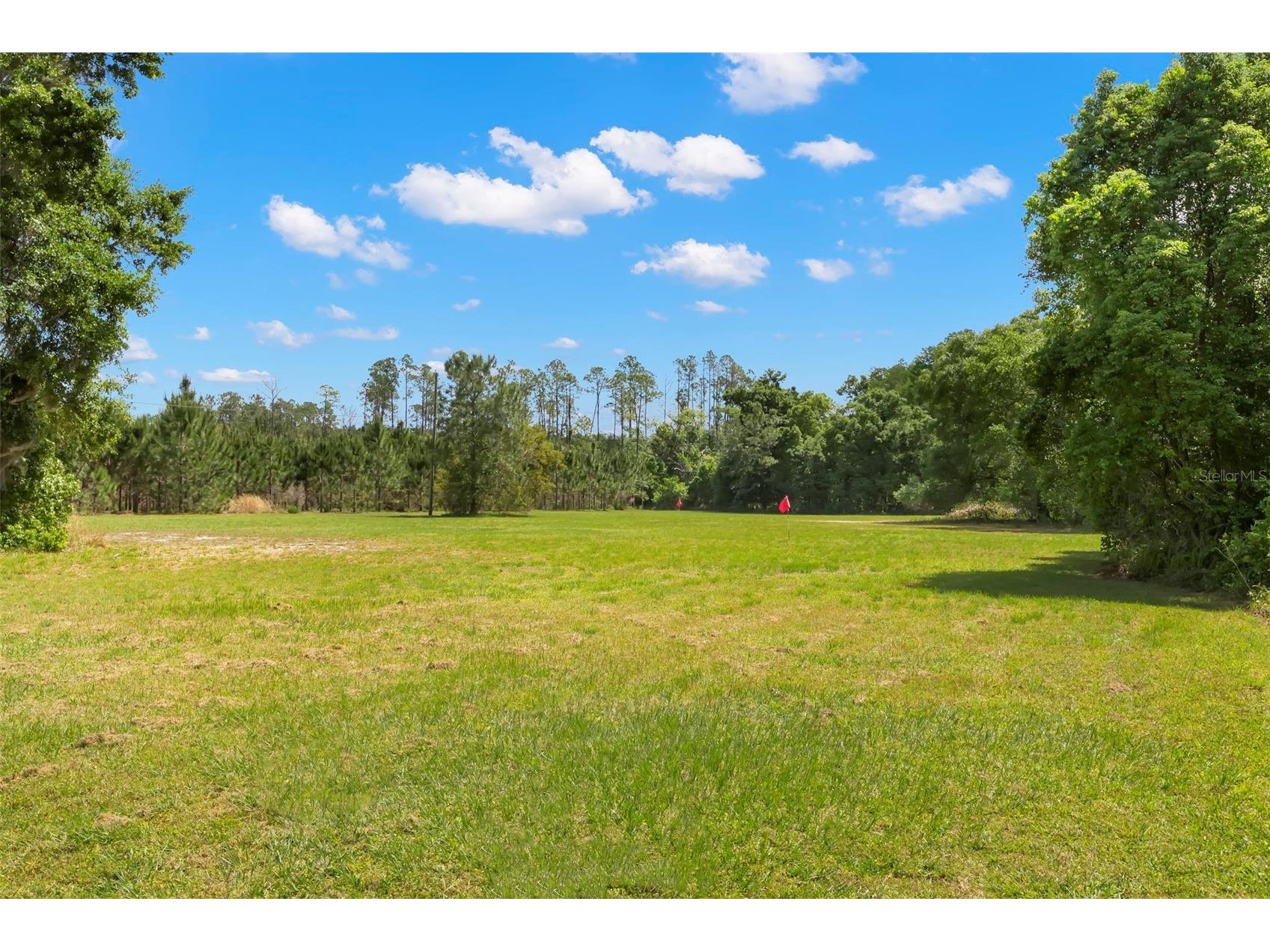 19229 Blount Road Lutz FL 33558 - LAKE HARVEY & LAKE JOY TB8500208 image56