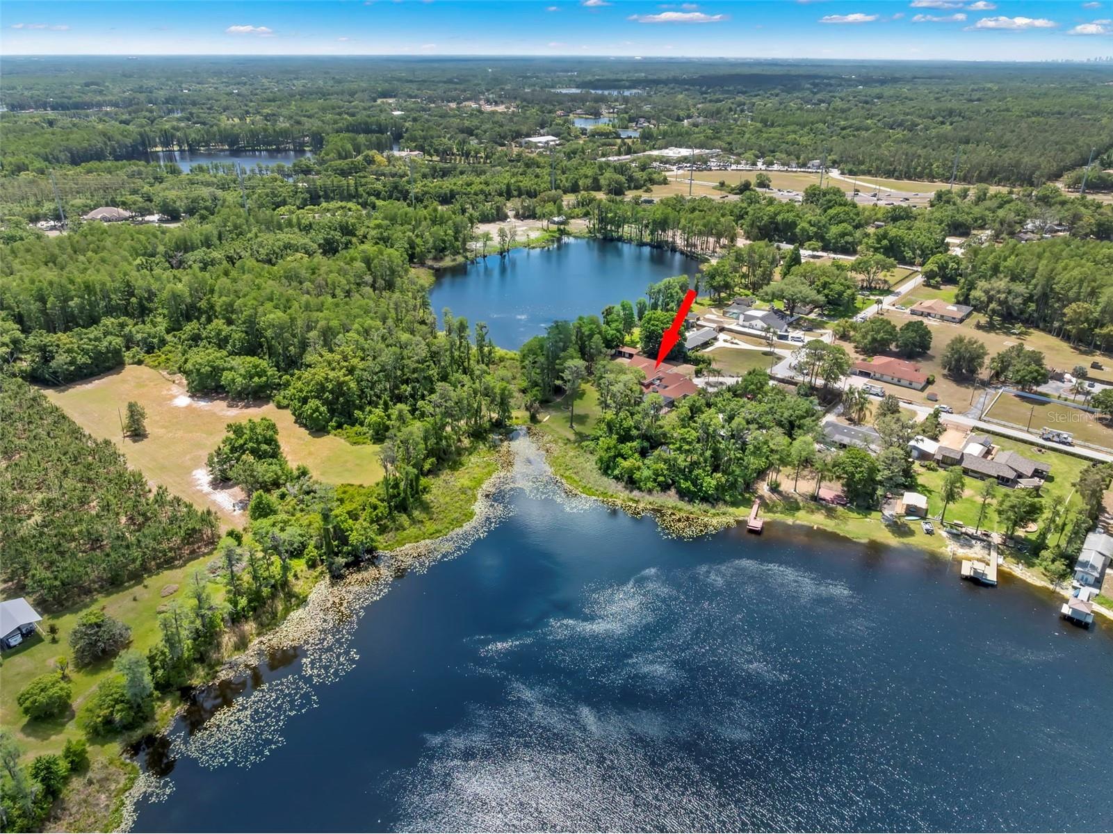 19229 Blount Road Lutz FL 33558 - LAKE HARVEY & LAKE JOY TB8500208 image59