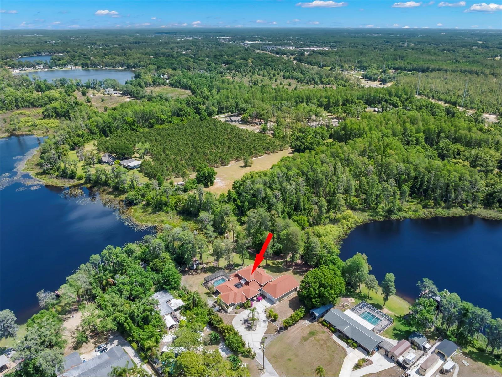 19229 Blount Road Lutz FL 33558 - LAKE HARVEY & LAKE JOY TB8500208 image60