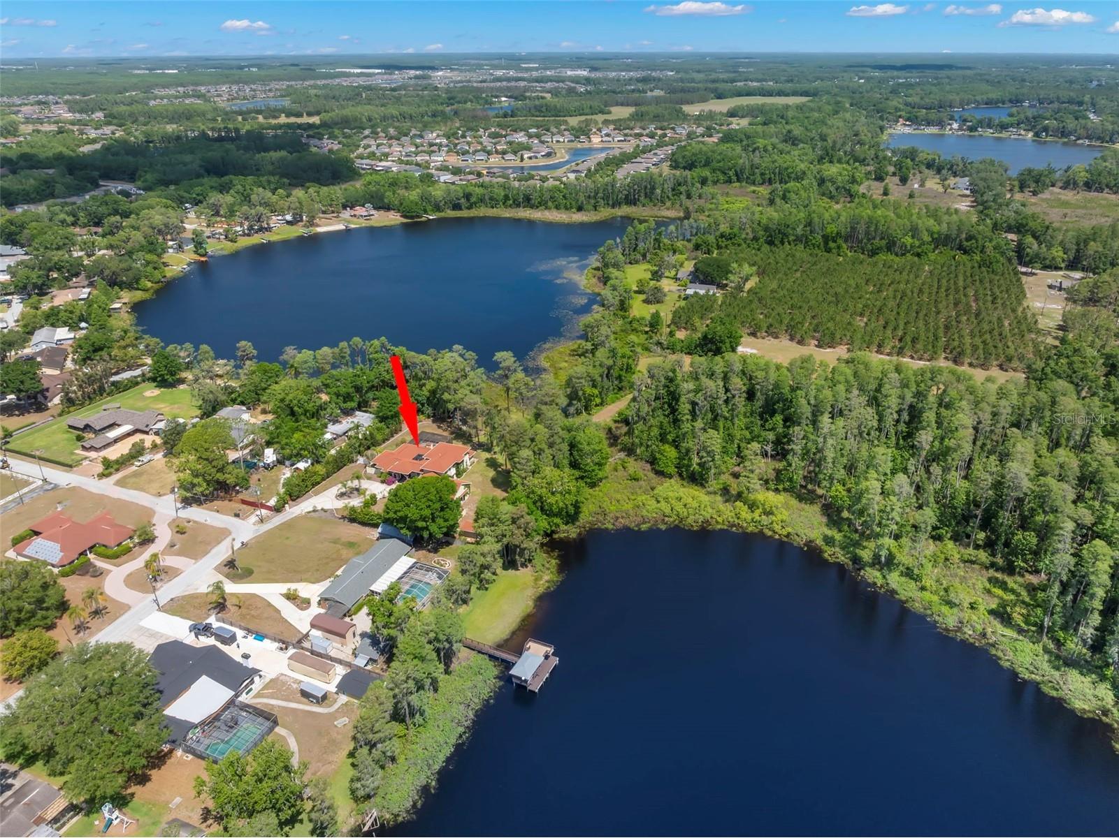 19229 Blount Road Lutz FL 33558 - LAKE HARVEY & LAKE JOY TB8500208 image61