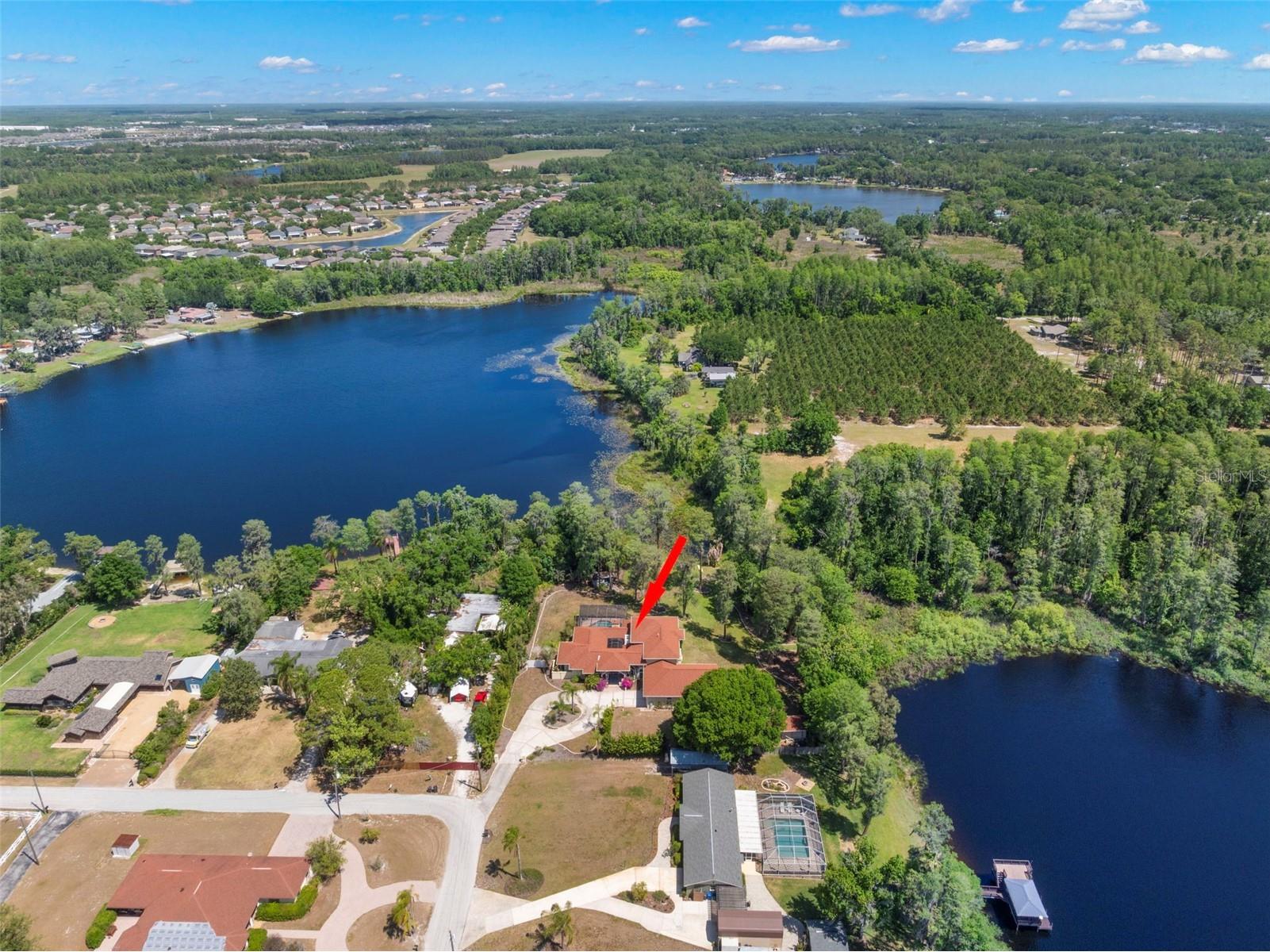 19229 Blount Road Lutz FL 33558 - LAKE HARVEY & LAKE JOY TB8500208 image62